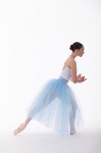 Load image into Gallery viewer, Romantic Tutu